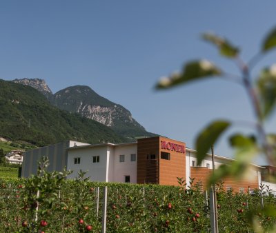 Roner dsc3526_c_hannesrohrer_1.jpg